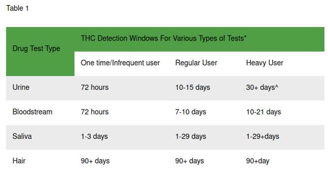thc detection windows