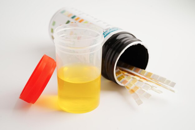 fake urine kit for drug test